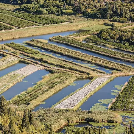 Lovely In With Wifi Duba