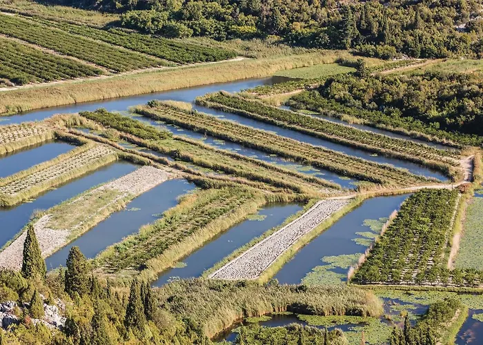 Lovely In With Wifi Duba